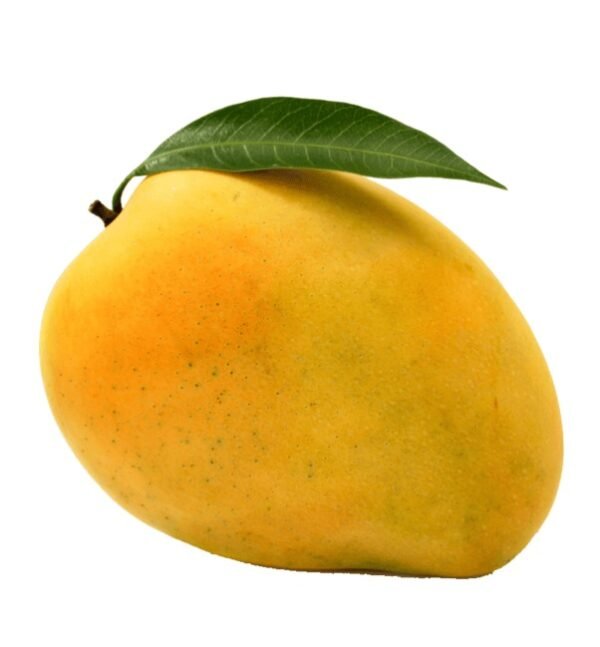 Dasheri